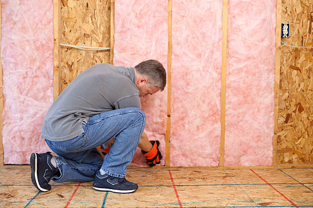 Best DIY Insulation Kits and Guidance in Grant, MI