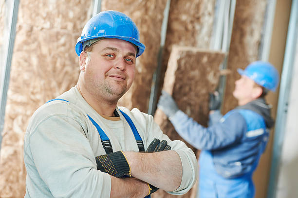 Best Insulation Maintenance and Repair in Grant, MI